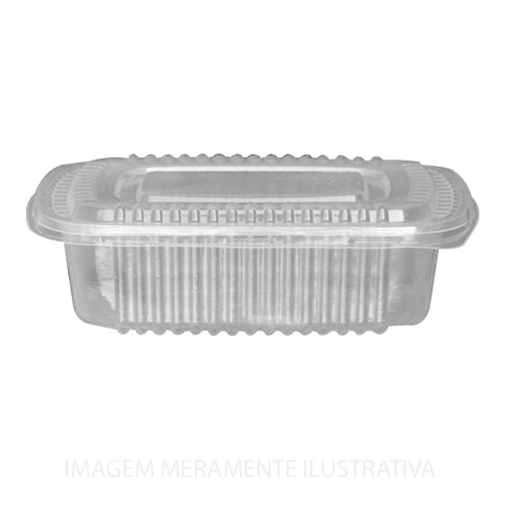 EMBALAGEM FREEZER E MICROONDAS 195X147X57MM 1X100UNIDADES